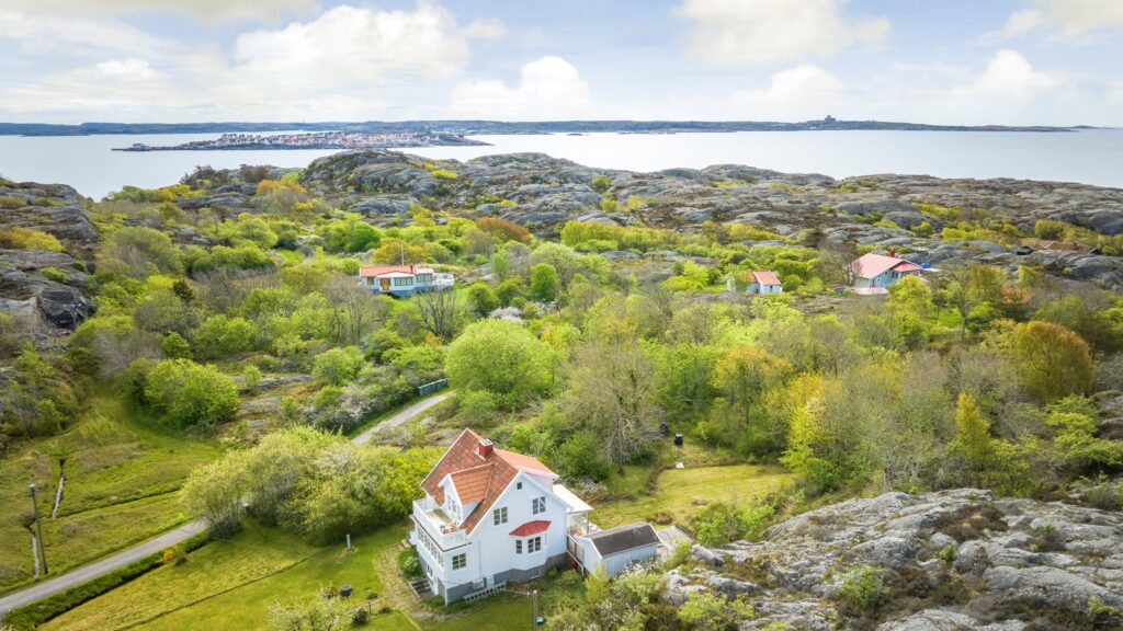Tjörnekalv Herrekullen 74
